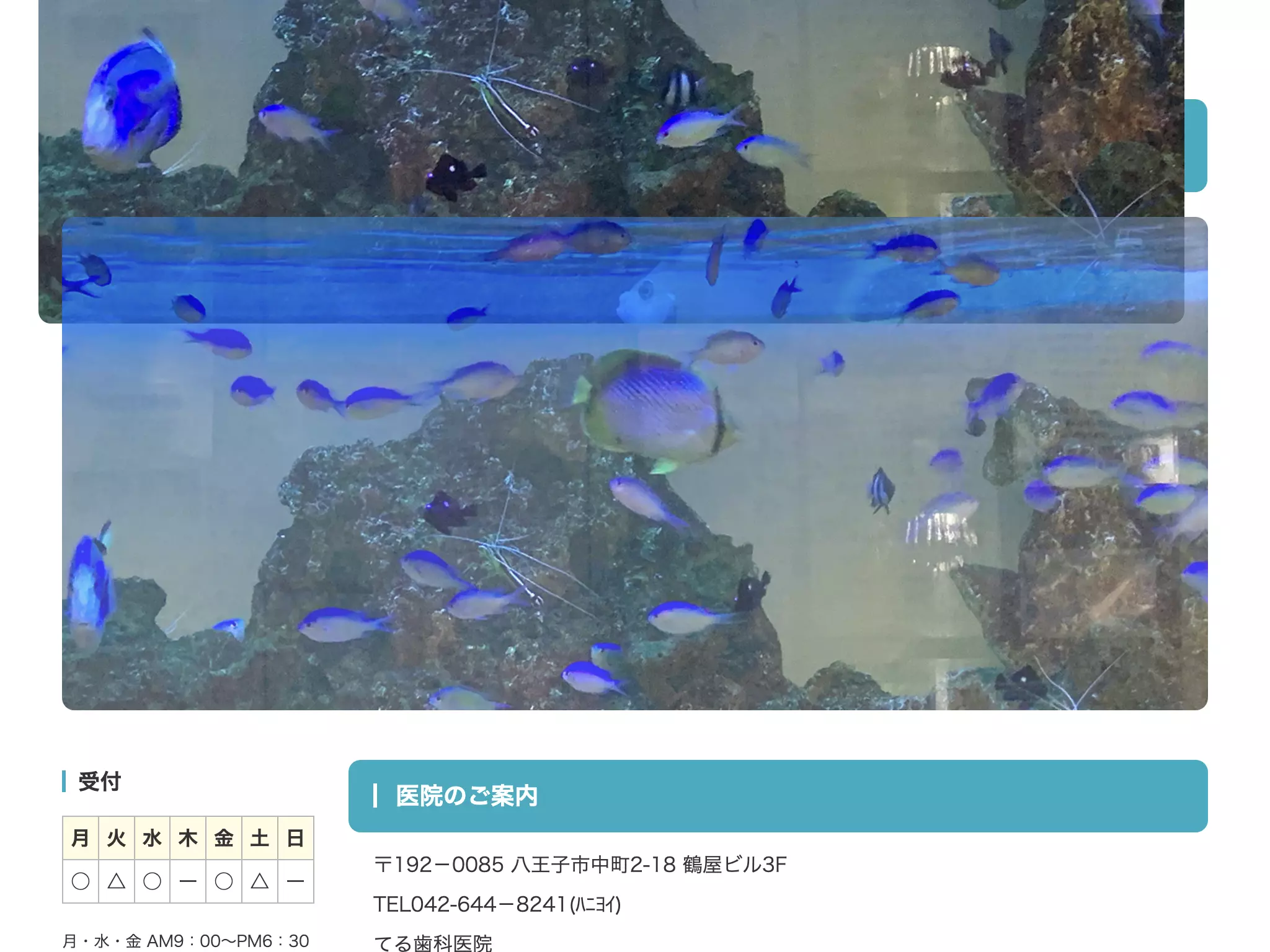 てる歯科医院