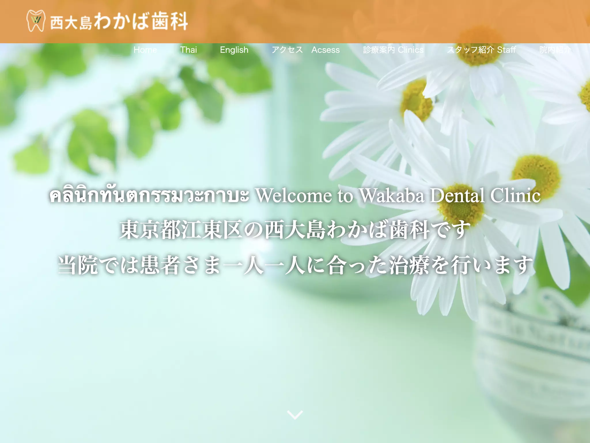 西大島わかば歯科