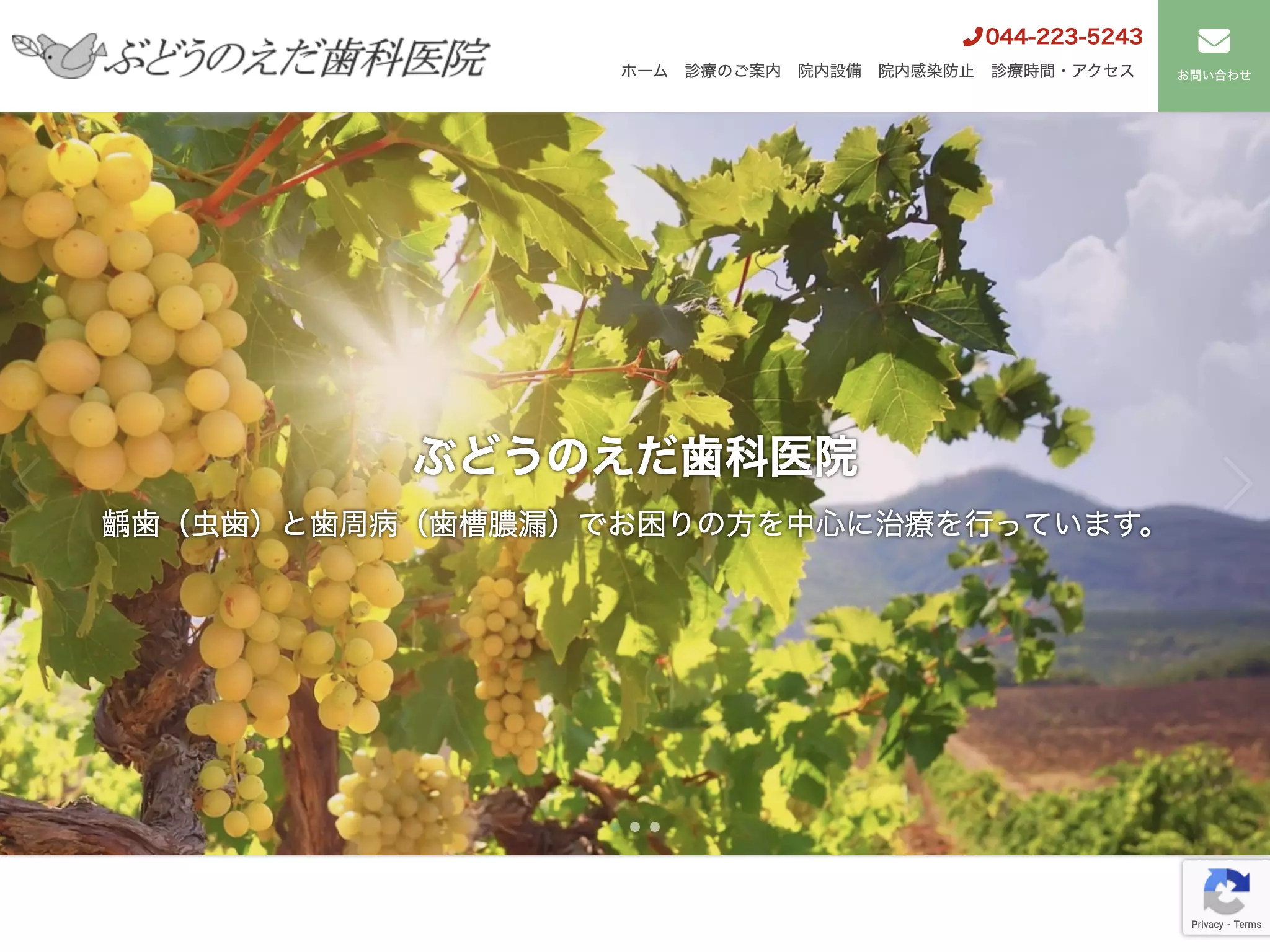 ぶどうのえだ歯科医院